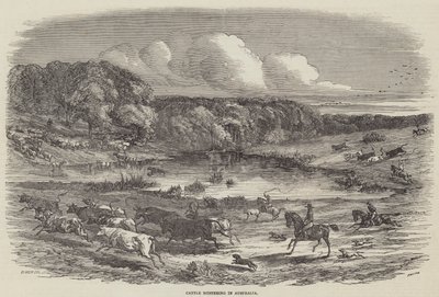 Cattle Mustering in Australia by Harrison William Weir